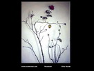 Fondos de escritorio y pantalla de Arte y Diseo